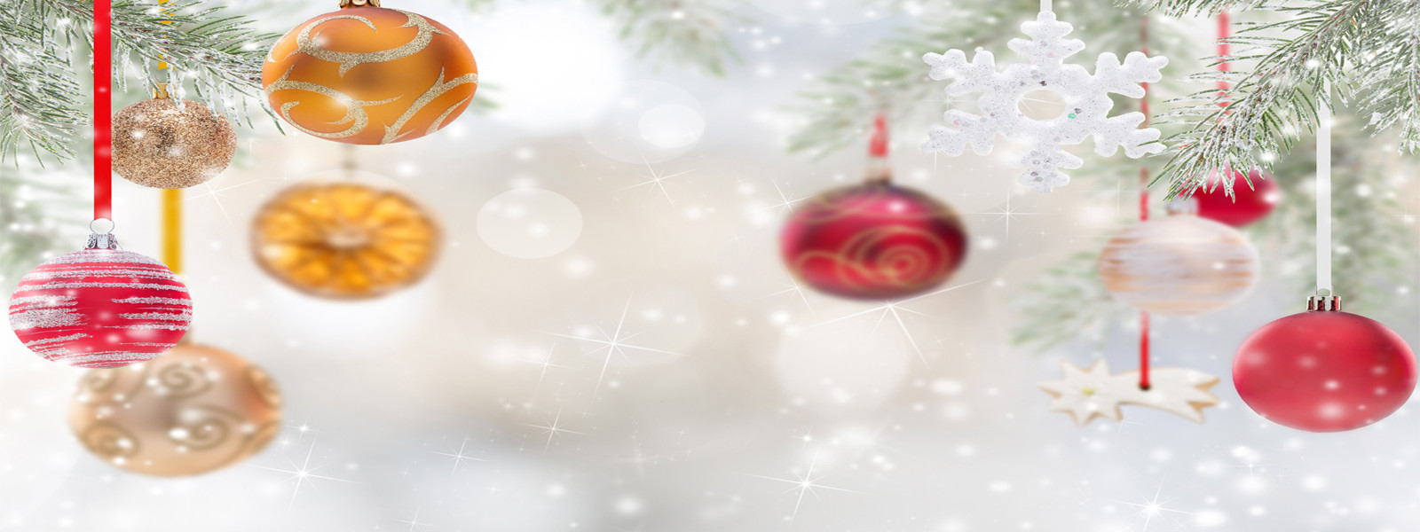 HOLIDAY DELIVERY PROMOTION 10% OFF ON ORDERS ABOVE $50 12 NOON TO 9 PM PROMOCODE: ORDERDIRECT